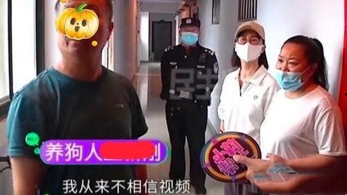 河南大事件爆料视频播放,揭秘视频播放背后的热点与焦点  第2张