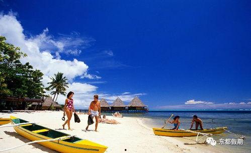 巴厘岛身亡爆料者视频,真相背后令人震惊！